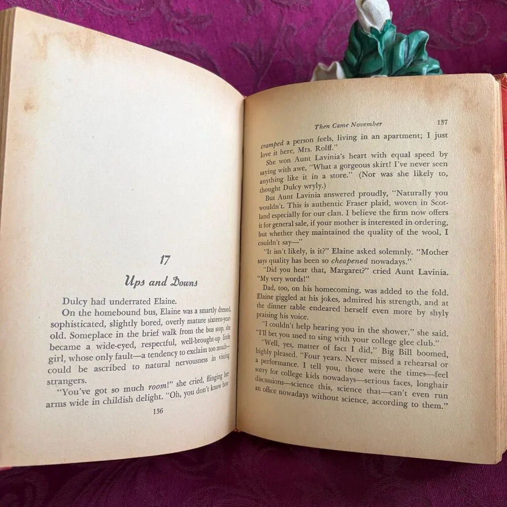 1963 Then Came November by Nan Gilbert, Vintage Teen Novel, Whitman Publishing